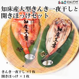 産地出荷「知床産大型きんき一夜干しと開きほっけセット」冷凍 送料込 父の日｜hokkaidodosankoplaza