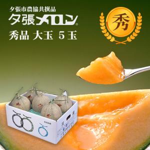 夕張市農協直送 共撰品 夕張メロン秀品大玉(約1.6kg) 5玉1箱【送料無料】 北海道 お中元 贈答品 引出物 赤肉メロン お供え物 お盆 名物｜hokkaidogb