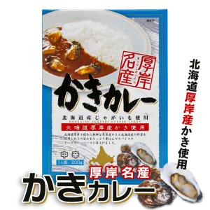 高島食品 かきカレー 200g 北海道 お土産 おみやげ 牡蠣 厚岸産 道産じゃがいも 中辛 シーフードカレー  1人前｜hokkaidogb