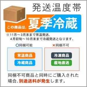 ISHIYA チョコレートタブレット(白い恋人...の詳細画像3