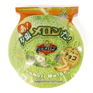 グリコ 北海道限定 夕張メロンポッキー 13本入り 常温発送 北海道 お
