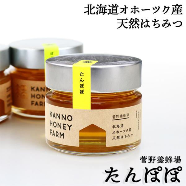 北海道オホーツク産 天然はちみつ たんぽぽ 150g 菅野養蜂場 北海道 お土産 タンポポ ハチミツ...