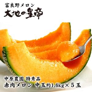 送料無料】富良野メロン大地の皇帝 特秀品 大玉約2kg×4玉 北海道 お