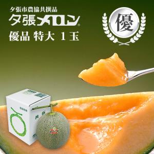 夕張市農協直送 共撰品 夕張メロン優品特大(約2.0kg) 1玉【送料無料】北海道 お中元 贈答品 引出物 赤肉メロン お供え物 お盆 名物｜hokkaidogb