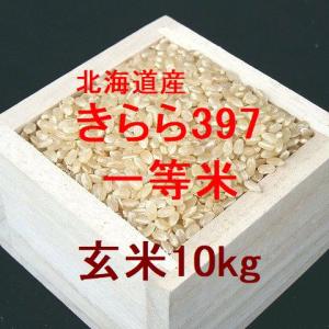 新米 北海道産 きらら397 一等米 玄米10kg （令和5年産）｜hokkaidomai