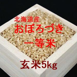 新米 北海道産 おぼろづき 一等米 玄米5kg （令和5年産）｜hokkaidomai