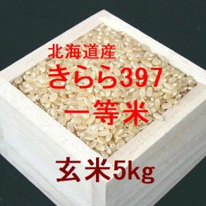 新米 北海道産 きらら397 一等米 玄米5kg （令和5年産）｜hokkaidomai