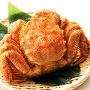 毛蟹 ボイル オホーツク産毛ガニ 500ｇ×1尾