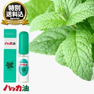 ＜特別送料込＞北見ハッカ通商 ハッカスプレー 【11.5ml】 同梱可です 北海道 北見 お土産 ハッカ油 国産 お風呂 紅茶 虫よけ アロマ ミント お取り寄せ