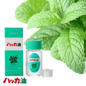 北見ハッカ通商 ハッカ油【ボトル】20ml 同梱可です北海道 北見 お土産 ハッカ油 国産 お風呂 紅茶 虫よけ アロマ ミント お取り寄せ