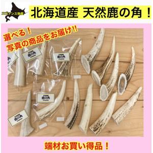 北海道物産 - 天然 鹿の角｜Yahoo!ショッピング