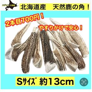 Sサイズ鹿の角　犬用おもちゃ　北海道産！割ってないタイプ　小型〜中型犬
