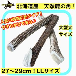 LL・北海道産鹿の角！　犬用おもちゃ　特大 1本　●やすり済み 割ってない タイプ● 中型〜大型犬 ＸＬサイズ