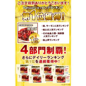 鮭とば おつまみ 400g (200g×2袋)...の詳細画像1