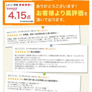 鮭とば おつまみ 400g (200g×2袋)...の詳細画像2