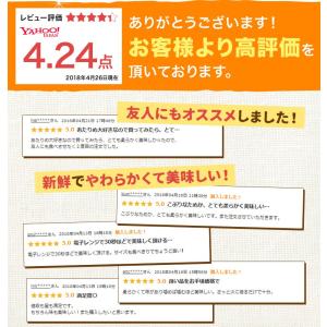 するめ スルメ おつまみ 送料無料 国産 北海...の詳細画像1