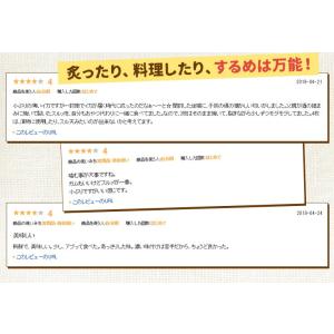 するめ スルメ おつまみ 送料無料 国産 北海...の詳細画像2