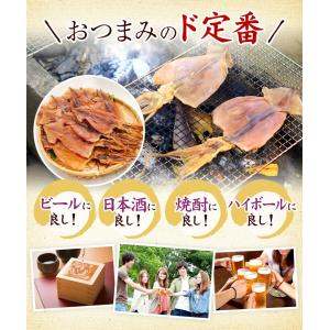するめ スルメ おつまみ 送料無料 国産 北海...の詳細画像4