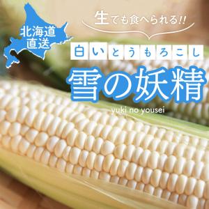 とうもろこし 北海道産 Mサイズ 生でも食べら...の詳細画像1