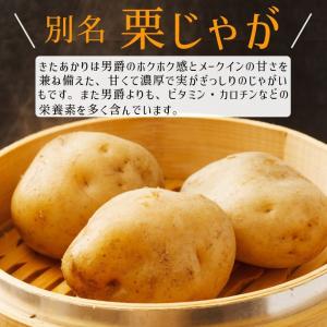 じゃがいも 北海道 きたあかり 送料無料 混玉...の詳細画像1