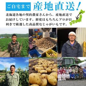 じゃがいも 北海道 きたあかり 送料無料 混玉...の詳細画像2