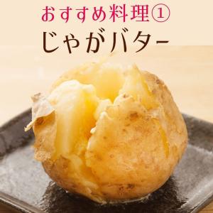 じゃがいも 北海道 きたあかり 送料無料 混玉...の詳細画像3