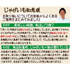 じゃがいも 北海道 きたあかり 新じゃが 送料...の詳細画像5