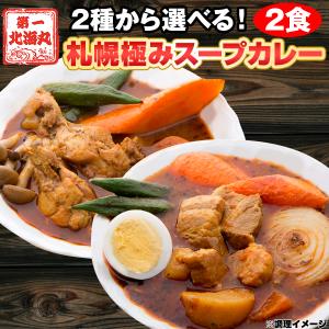 札幌極みスープカレー　2食