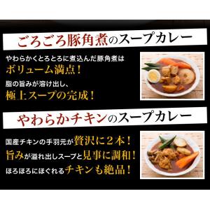 札幌スープカレー 選べる 2食セット 送料無料...の詳細画像2