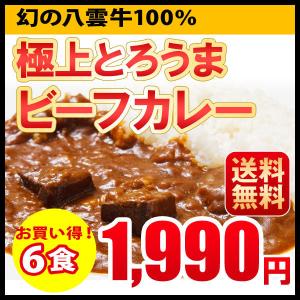 お買い得！ ビーフカレー レトルトカレー ６食セット