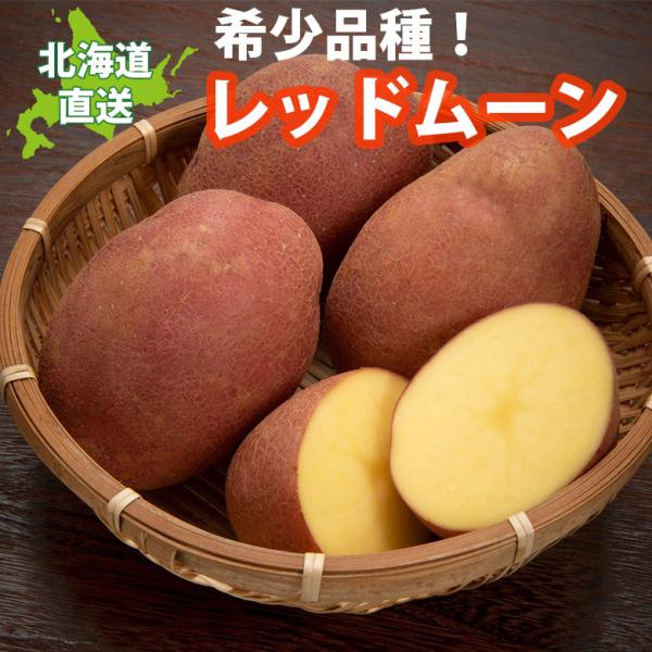 じゃがいも 北海道 レッドムーン 8kg 変わった品種 送料無料 産地直送 ジャガイモ 北海道産