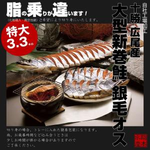 北海道十勝 広尾産 大型 新巻鮭 銀毛オス１本物（化粧箱入・真空包装）3.3kg前後