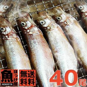 【送料無料】北海道（広尾産）ししゃも メス 大サイズ 40尾（10尾×4） 化粧箱入【本ししゃも】