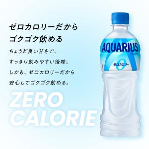 アクエリアス ゼロ スポーツドリンク ペットボ...の詳細画像2