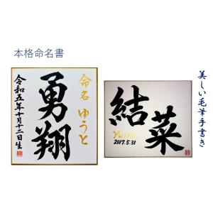 色紙命名書の商品一覧 通販 Yahoo ショッピング