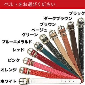 ゴルフ ネームプレート ネームタグ クリア 名...の詳細画像3