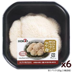 ホクト ヤマブシタケ 生 長野県産 720g (120g x6pc) 調理 食べ方 レシピ付(GGAP GGN4059883238143)
