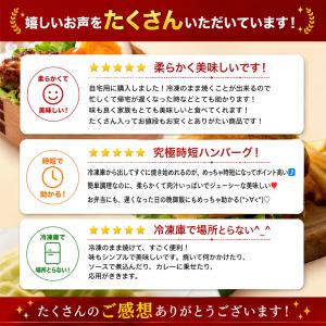ハンバーグ 冷凍 お取り寄せグルメ ありがとう...の詳細画像3