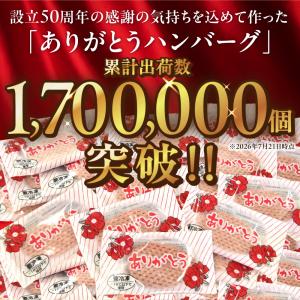 ハンバーグ 冷凍 お取り寄せグルメ ありがとう...の詳細画像2