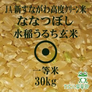 新米】青天の霹靂 玄米 30kg 令和7年産 青森県産 一等米 : ほくべい
