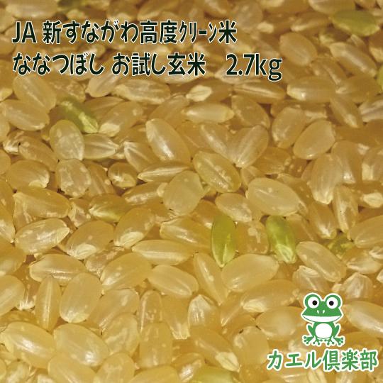 お試し玄米　北海道産 高度クリーン米　ななつぼし 2.7Kg　玄米　令和5年産　一等米　JA新すなが...