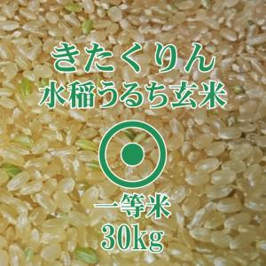青天の霹靂 玄米 30kg 令和7年産 青森県産 一等米 爆買 : ほくべい