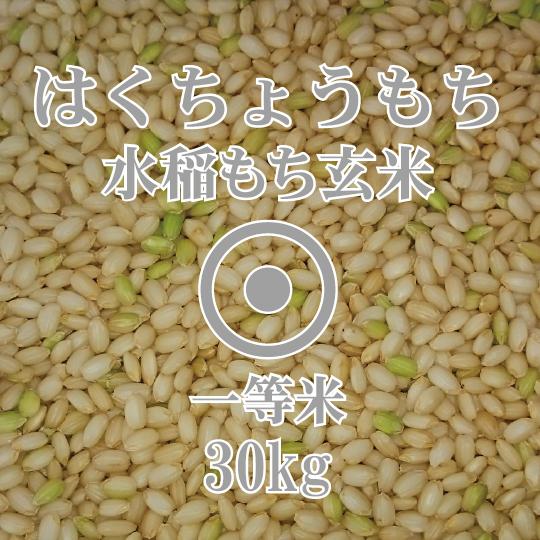 北海道産 はくちょうもち　もち米玄米 30kg 令和7年産 一等米 北海道米 糯米 餅米 もち米 農...
