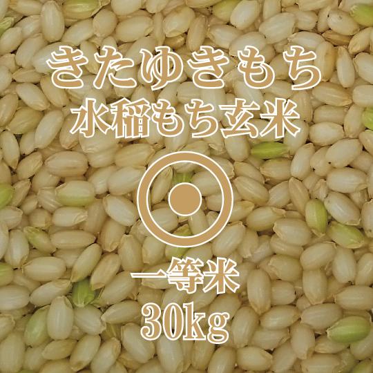 北海道産 きたゆきもち 玄米 30kg 令和7年産 一等米 北海道米 糯米 餅米 もち米玄米30kg