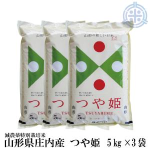 つや姫 【新米】つや姫 山形県産 (5kg ×2袋) 令和7年産 精米 特A 減