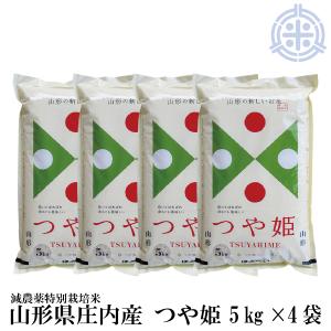 つや姫 【新米】つや姫 山形県産 (5kg ×2袋) 令和7年産 精米 特A 減