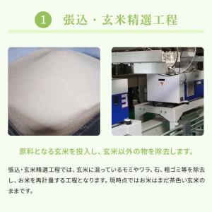 【最安値挑戦中】厳撰ゆめぴりか 10kg(5k...の詳細画像5