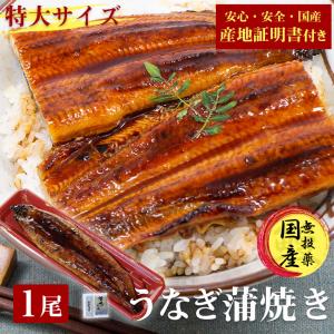 うなぎ 蒲焼き 鰻 うなぎ蒲焼き 送料無料 特大 200g 1尾 国産うなぎ ウナギ 蒲焼 うなぎ 蒲焼き 国産 産地証明書 付き ギフト