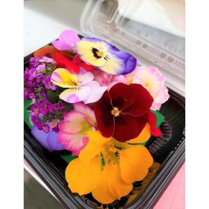 エディブルフラワー 食べるお花 とれたて 鮮度抜群 産地おま...