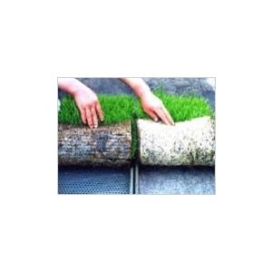 ニッテン　育苗箱下敷紙　クラパピー　277×577mm　水稲育苗箱用　100枚